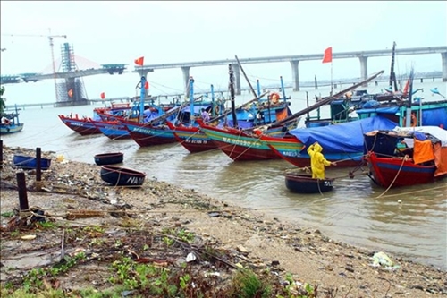 Ứng phó với bão số 1: Quảng Ngãi kêu gọi tàu, thuyền khẩn trương di chuyển ra khỏi vùng nguy hiểm